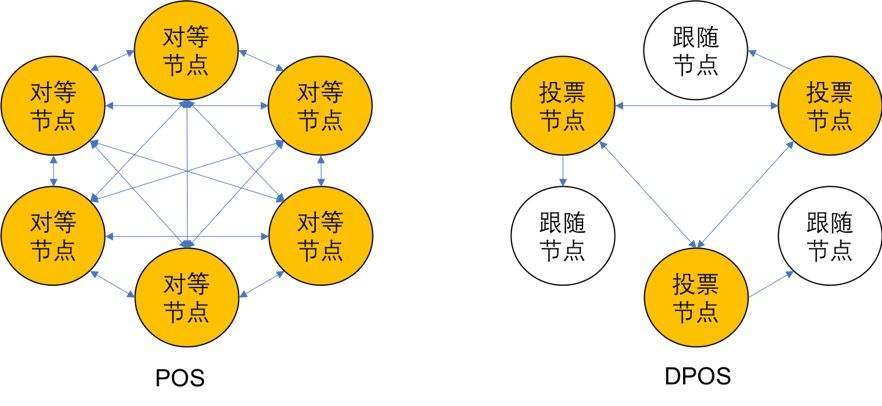 区块链中的DPoS算法，背景、原理与应用-第1张图片-领航者区块链资讯站