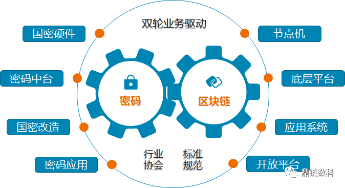 厦门区块链公司，引领未来数字经济的先锋力量-第1张图片-领航者区块链资讯站