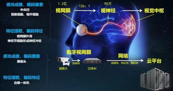 拓维信息与华为发布昇腾大模型一体机-第1张图片-领航者区块链资讯站