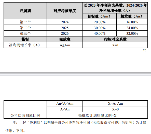 赛意信息:2024年限制性股票激励计划自查表-第2张图片-领航者区块链资讯站