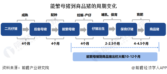 新西兰财政部：经济“正处于或接近”周期底部-第1张图片-领航者区块链资讯站