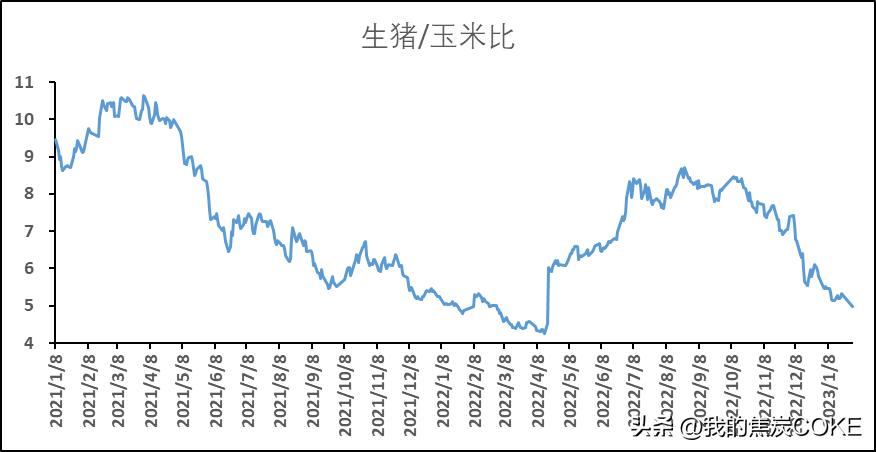 棉花期货价值波动如何影响市场供需？这种波动有哪些具体表现？-第2张图片-领航者区块链资讯站