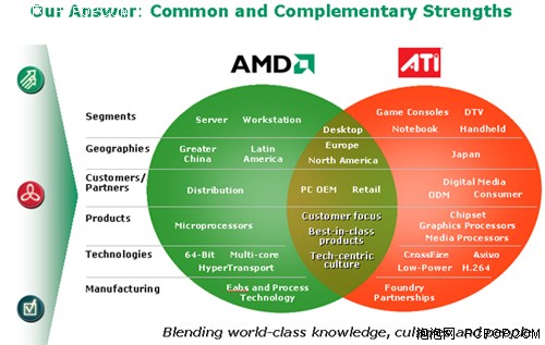 分析人士：AMD股价变动显示市场对新技术的期待-第1张图片-领航者区块链资讯站