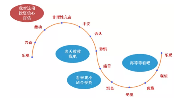 基金市场波动的原因是什么？基金市场波动如何影响投资者的决策？-第2张图片-领航者区块链资讯站