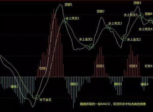 期货市场波动如何影响投资者决策？这种决策有哪些潜在风险？-第2张图片-领航者区块链资讯站