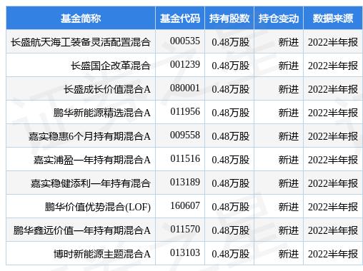 长盛基金王宁：关注两大主线 延伸价值复利-第1张图片-领航者区块链资讯站