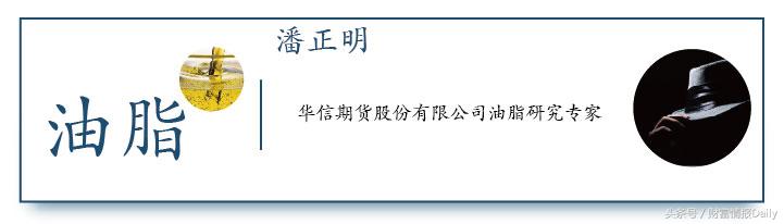 长线豆的投资策略有哪些？这些策略在不同市场条件下如何应用？-第1张图片-领航者区块链资讯站