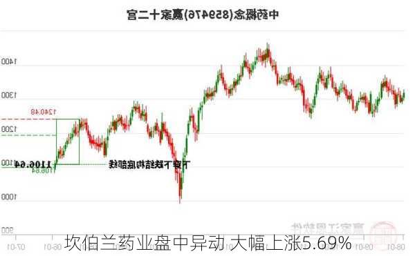 坎伯兰药业盘中异动 临近午盘大幅上涨5.56%报1.33美元-第2张图片-领航者区块链资讯站