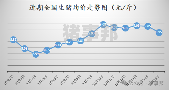 10月15日猪价汇总（大面积下跌，均价再度破9元/斤！）-第3张图片-领航者区块链资讯站