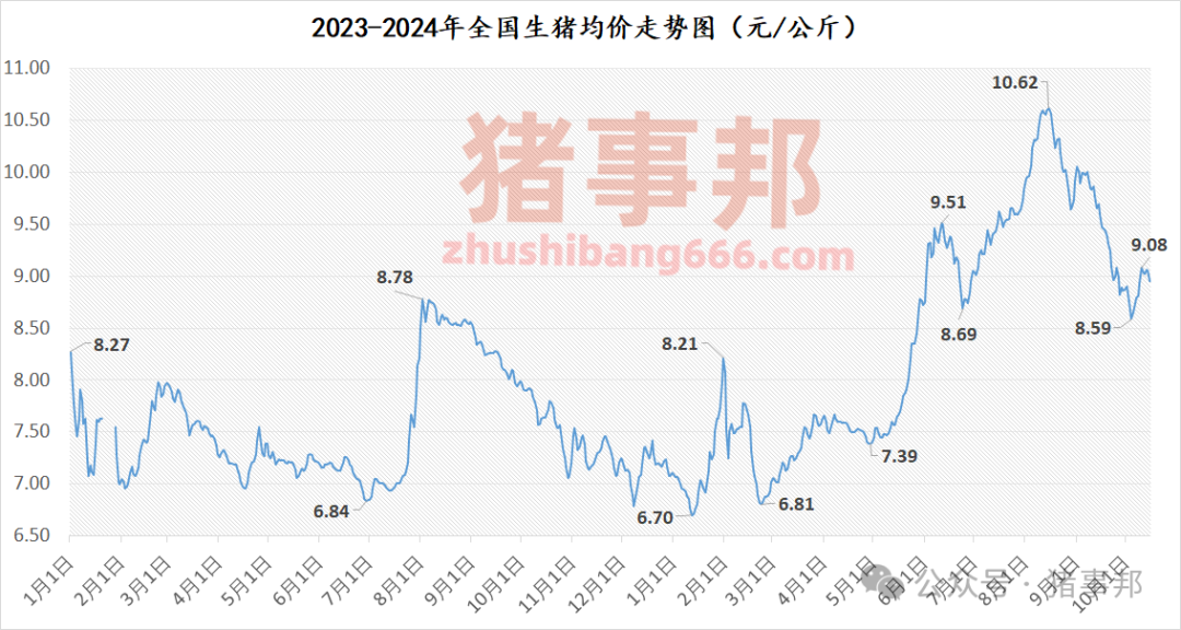 10月15日猪价汇总（大面积下跌，均价再度破9元/斤！）-第4张图片-领航者区块链资讯站