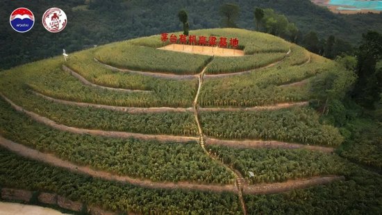 茅五洋泸汾领头，探索酒业ESG发展新路径、新样本-第8张图片-领航者区块链资讯站